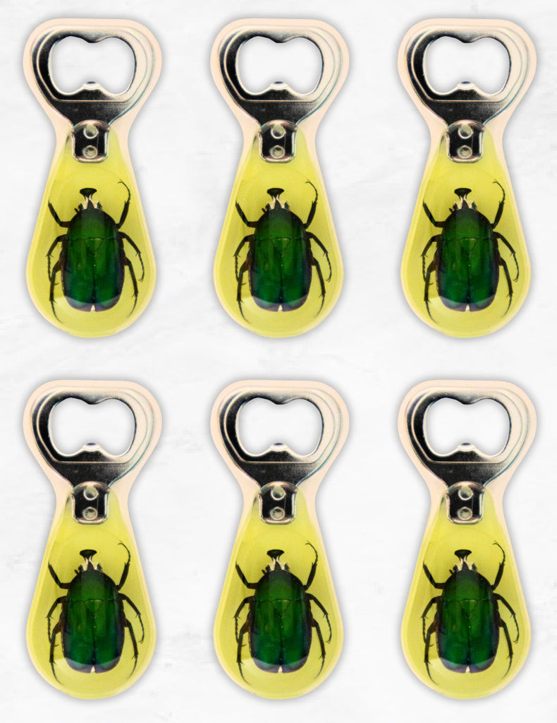 Beetle Rhinoceros Bottle Opener