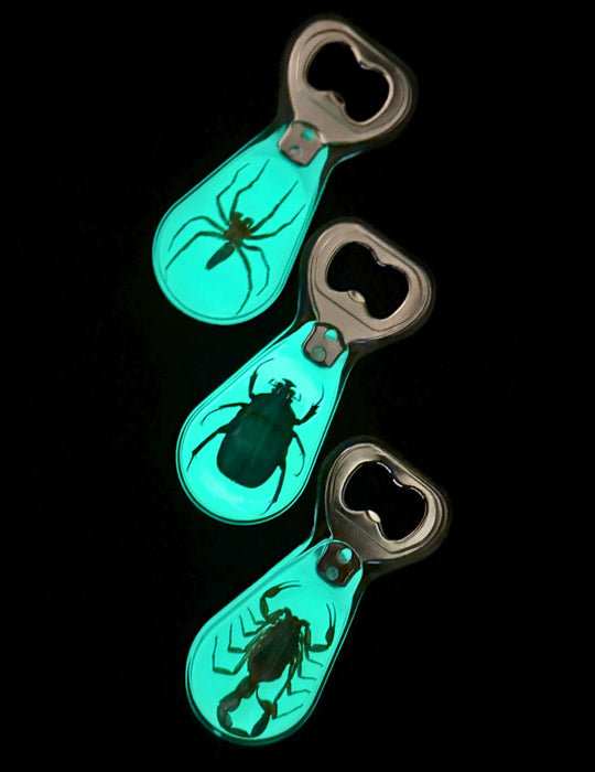 Beetle Bottle Opener