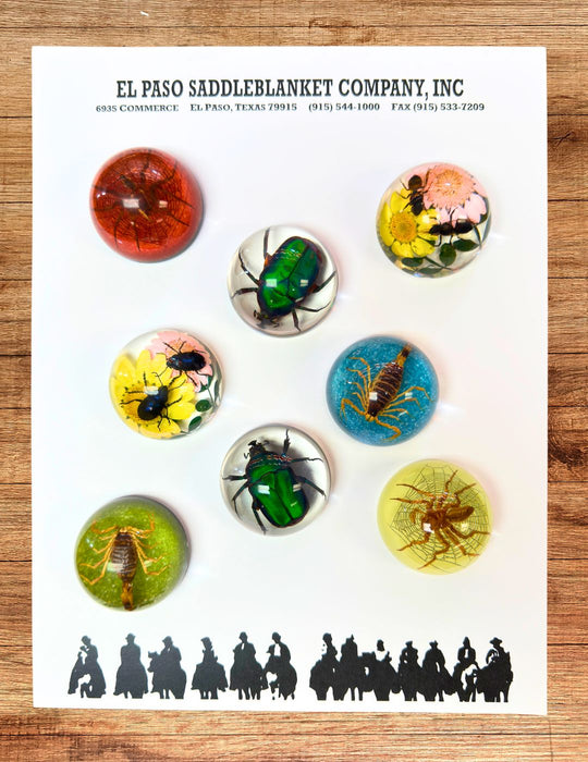 8 Small Dome Insect Paperweight, Only $7.25 ea.