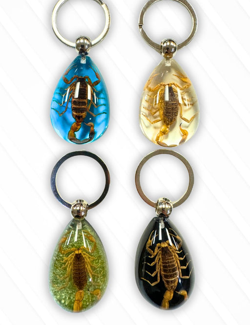24-Pack Scorpion Keyring, Only $4.50 ea!