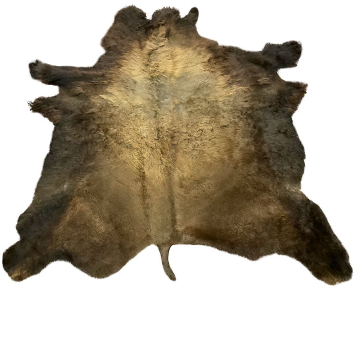 First Grade, High-Quality Buffalo Hides!! Only $850 ea!
