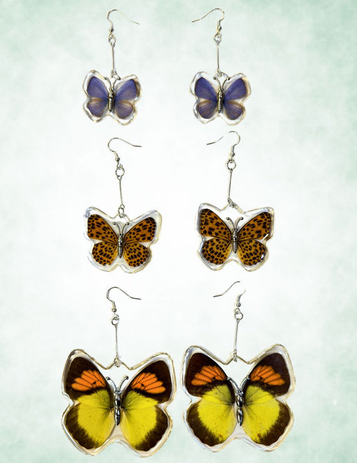 6 Pair Real Butterfly Wing Earrings, Only $8.50 ea!