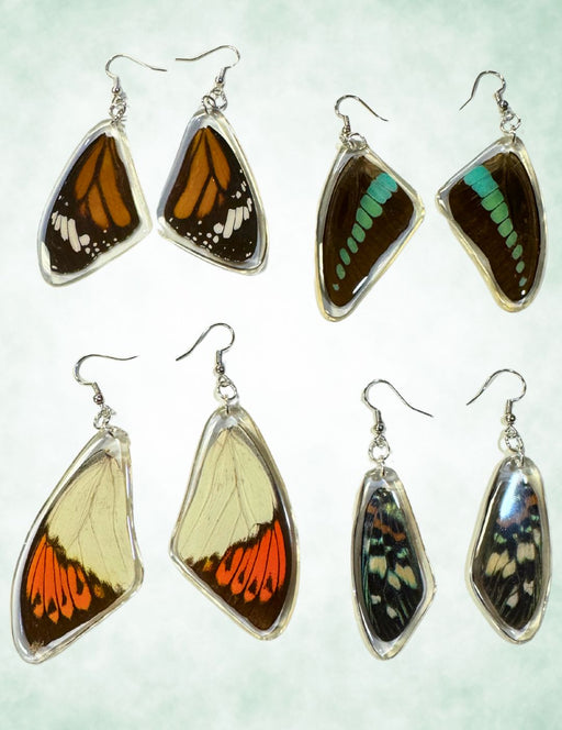 8 Pair Real Butterfly Wing Earrings, Only $5.25 ea!
