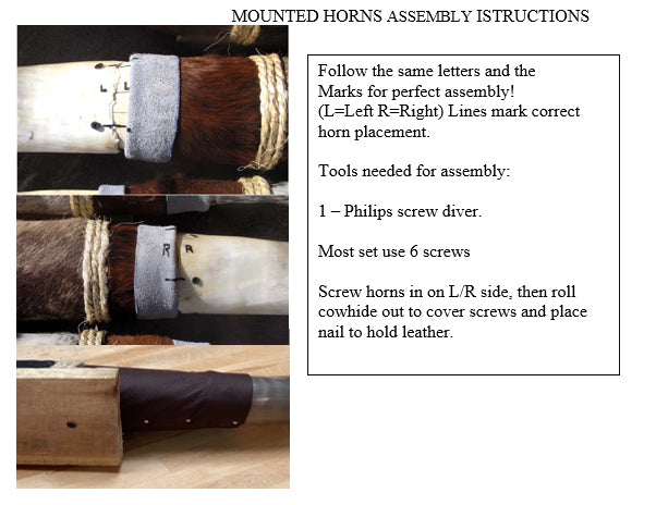 HOT SELLER!! 3 PACK Polished Mounted Horns, Only $59 each!