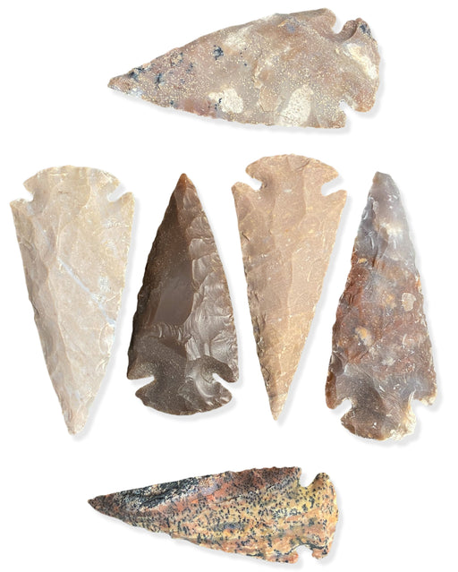 3" Showcase Quality Arrowheads - 12 Quantity