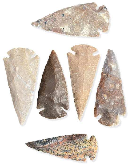 3" Showcase Quality Arrowheads - 12 Quantity