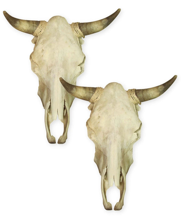 8 Pack Genuine First Grade Cow Skulls & Cowboy Rope Combo!!
