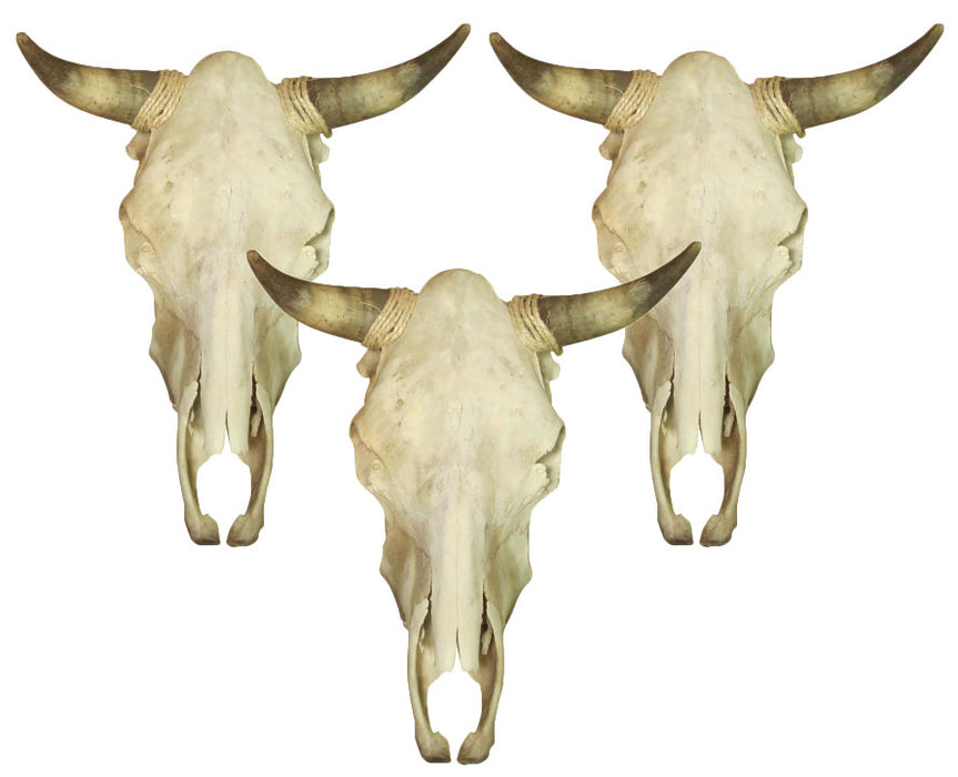 Just In! 4 Pack Plain Cow Skulls! Only $40 ea!