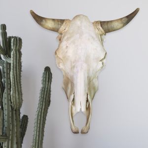 Plain Cow Skulls