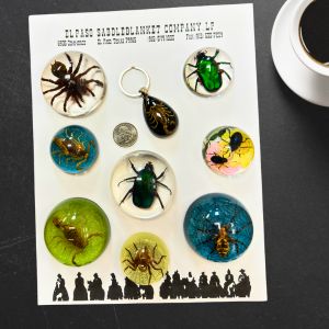 Insect Paperweights & Keychains