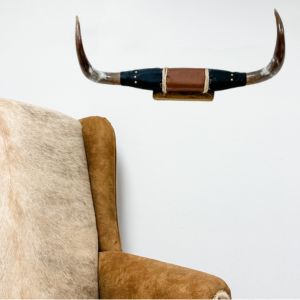 Mounted Horns
