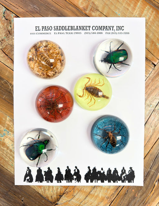 <font color="red">Trading Post Essential !!!</font> 6 Medium Dome Insect Paperweight, Only $10.00ea.