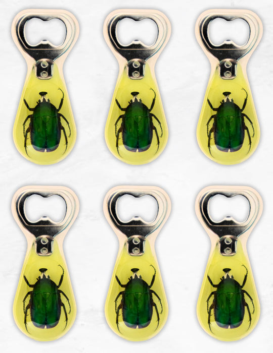 Glow-in-the-Dark Resin Bug Bottle Openers – 12 Pack, Only $8.00ea!