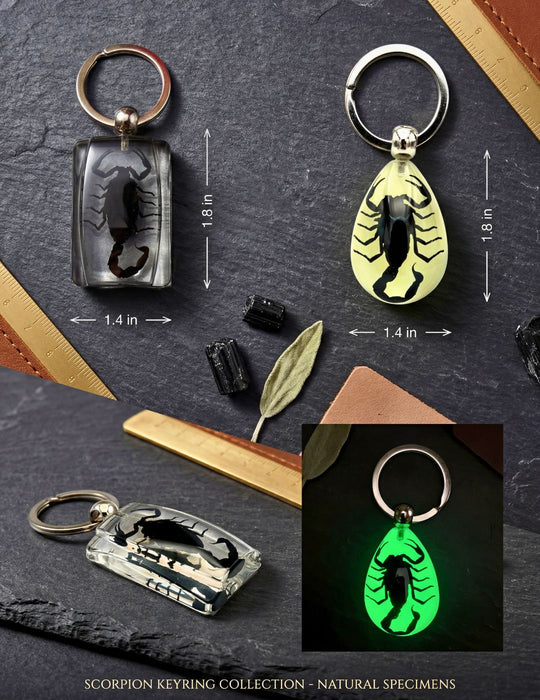 Black Scorpion Keychain