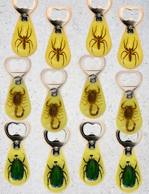 Glow-in-the-Dark Resin Bug Bottle Openers – 12 Pack, Only $8.00ea!