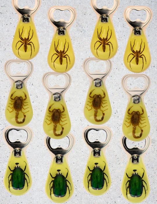 Glow-in-the-Dark Resin Bug Bottle Openers – 12 Pack, Only $8.00ea!