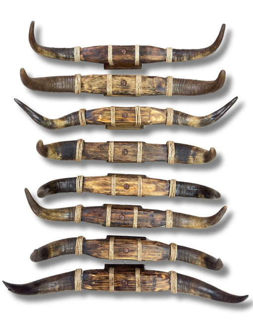 <FONT COLOR="RED">JUST IN!!</FONT> 3 PACK Medium Rustic Mounted Horns, Only $65 each!