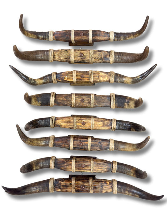 Medium Rustic Mounted Horns