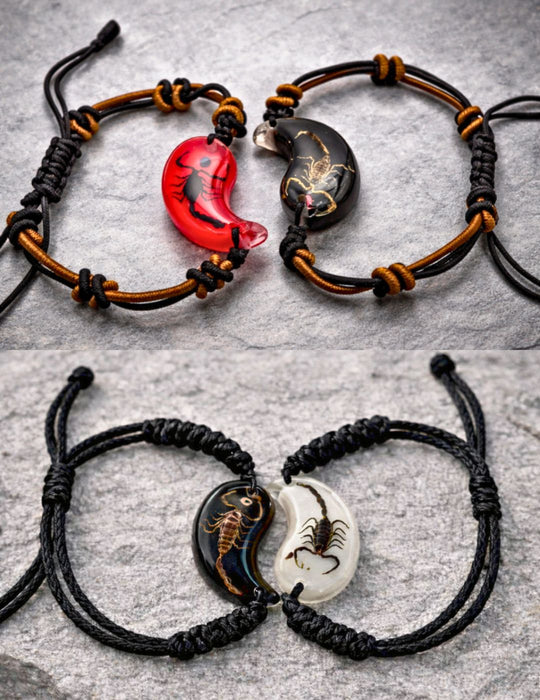 Scorpion Friendship Bracelet