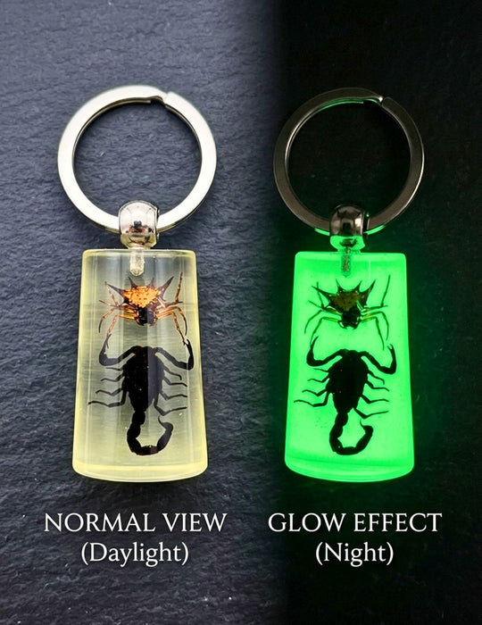 Scorpion/Spider Keychain