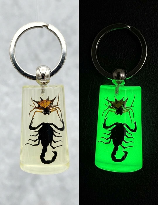 Scorpion/Spider Keychain