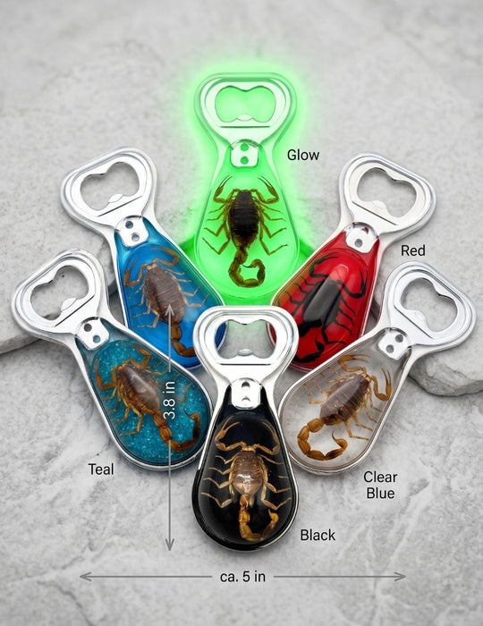 Scorpion Bottle Opener