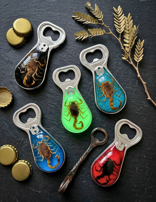 Scorpion Bottle Opener