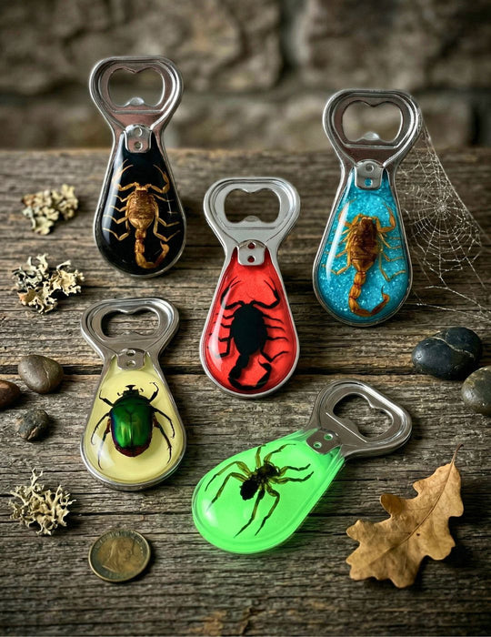 12 Pack – Resin Bug Bottle Openers