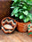 #1 Seller!!!3 - Southwest Planter Waste Baskets Baskets! Only $10 EA!