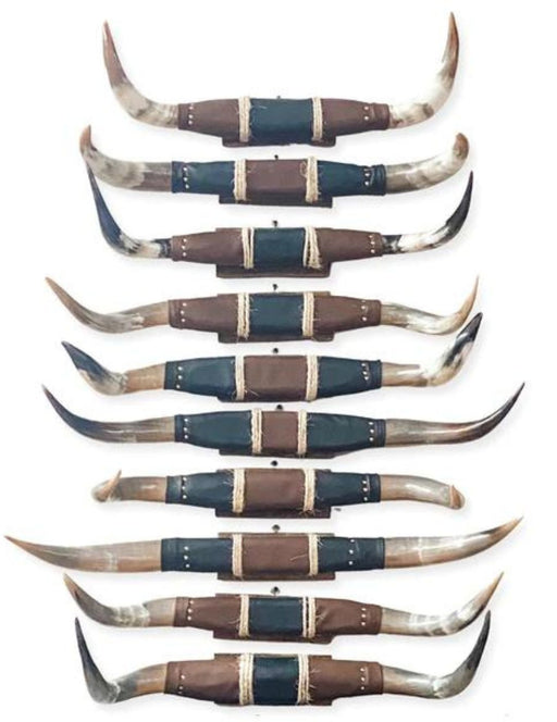 HOT SELLER!! 3 PACK Polished Mounted Horns, Only $59 each!