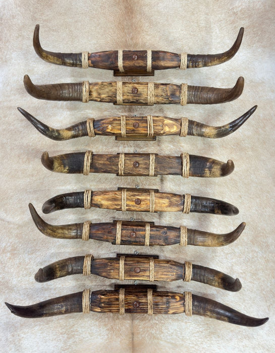 <FONT COLOR="RED">JUST IN!!</FONT> 3 PACK Medium Rustic Mounted Horns, Only $65 each!