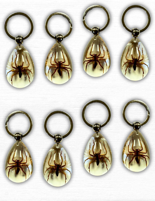 Spider Keyring