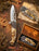 Wolf Gift Boxed Knife