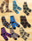 Men’s Fashion Socks