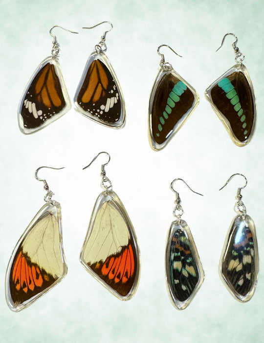 8 Pair Real Butterfly Wing Earrings, Only $4.75 ea!