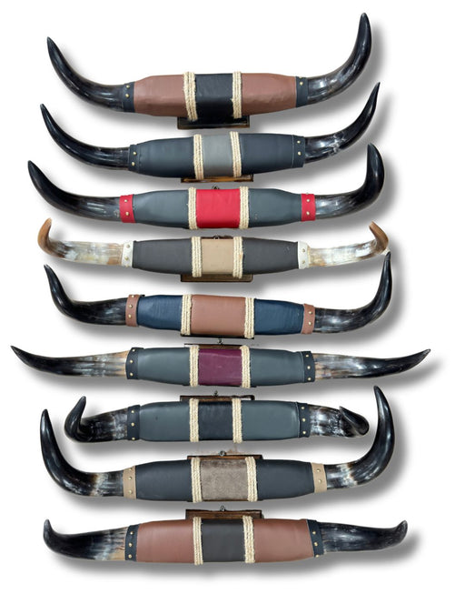 <FONT COLOR="RED">JUST IN!!</FONT> 3 PACK Medium Polished Mounted Horns, Only $65 each!