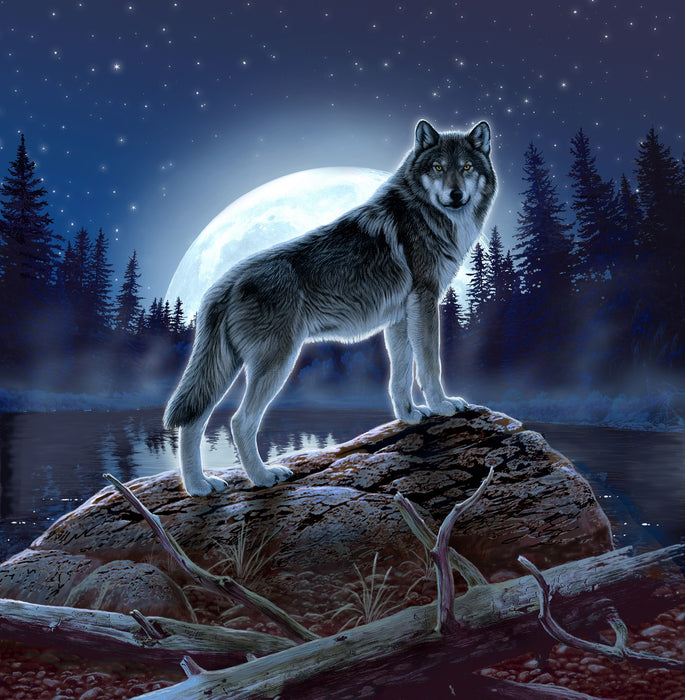 Plush Pictorial Queen-Size Blanket - Mystic Wolf