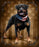 Plush Pictorial Queen-Size Blanket - Patriotic To The Bone