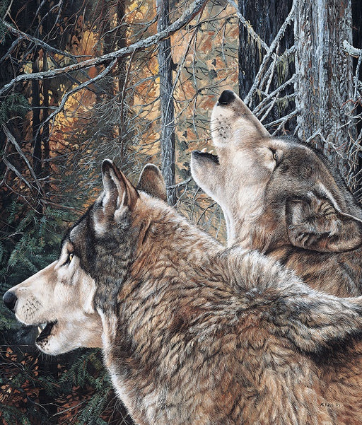 Plush Pictorial Queen-Size Blanket - Howling Wolves