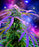 Plush Pictorial Queen-Size Blanket - Cosmic Weed