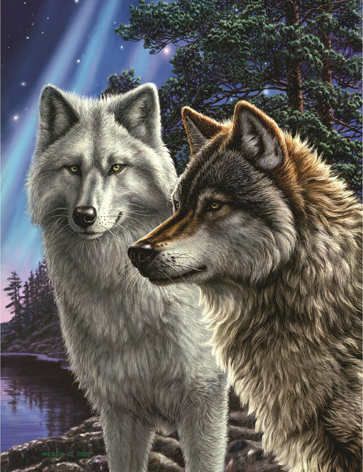 Plush Pictorial Queen-Size Blanket - Together Wolves