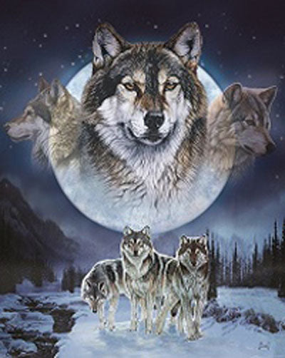 Plush Pictorial Queen-Size Blanket - Wolf Pack