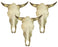 Just In! 4 Pack Plain Cow Skulls! Only $38 ea!