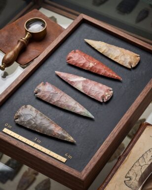 6" SHOWCASE ARROWHEAD