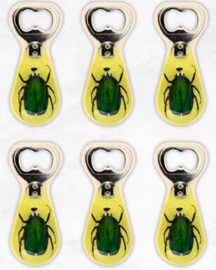Beetle Bottle Opener