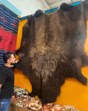 Large Buffalo Hides