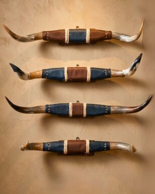 Polished Mounted Horns