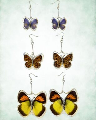 Real Butterfly Wings Earrings