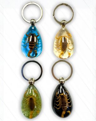Scorpion Keyring