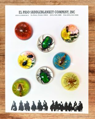 8 Small Dome Insect Paperweight.